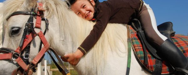 licols pour chevaux