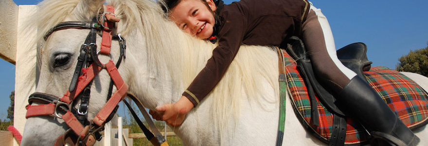 licols pour chevaux